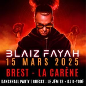 Dancehallparty 1 Blaiz Fayah