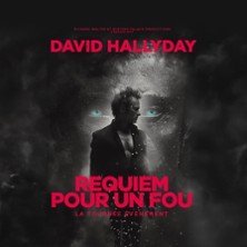 David Hallyday