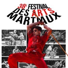 Festival Des Arts Martiaux