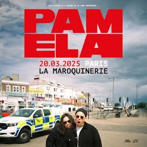 PAMELA